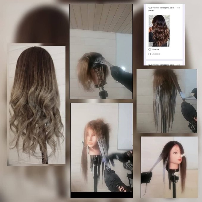 Module expert de techniques +Balayage Hair Touch